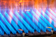 Llawr Y Glyn gas fired boilers